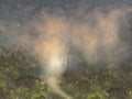 Guided by Fireflies 30x40cm LIMITED EDITION PRINT