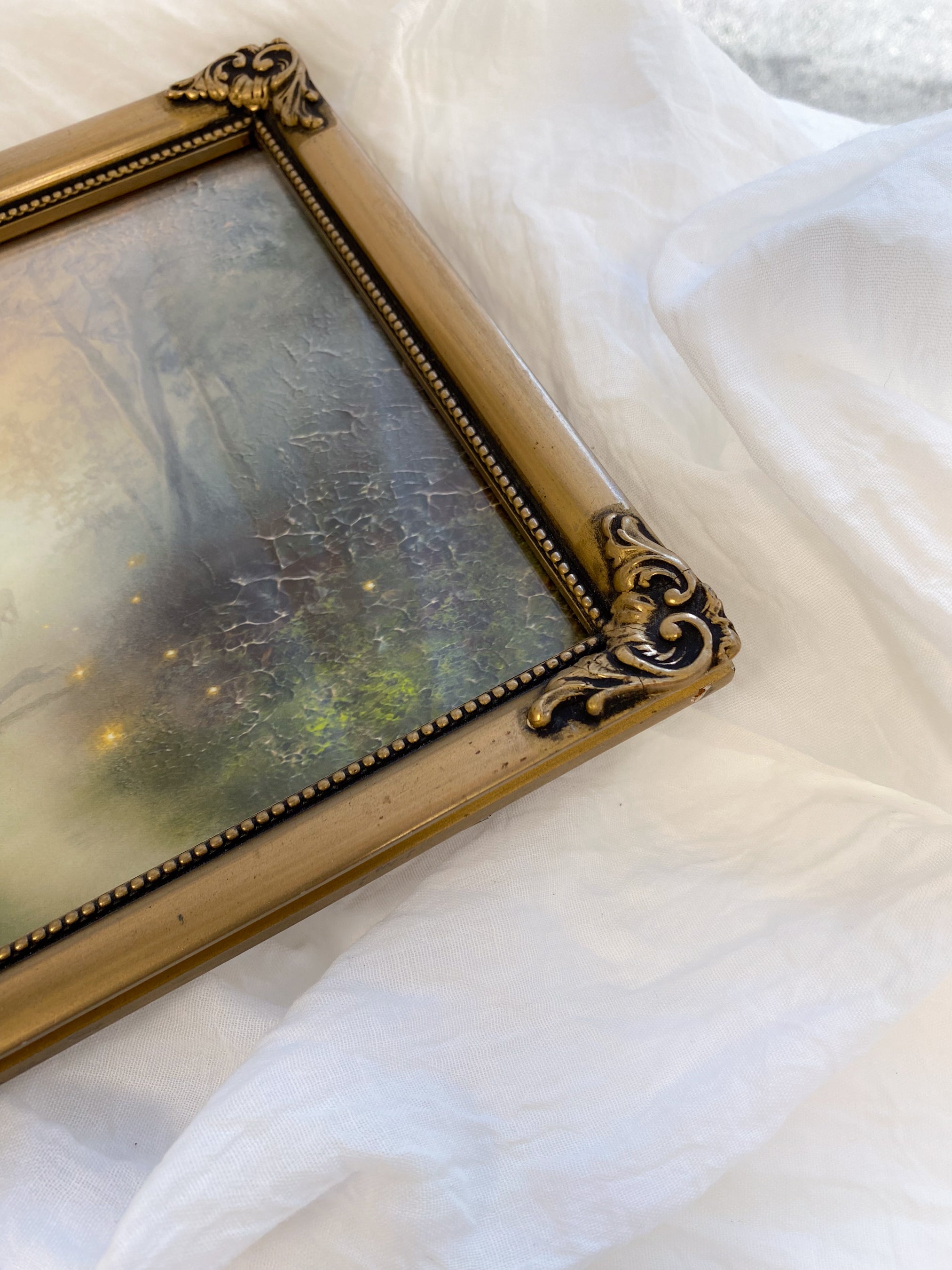 Guided by Fireflies FRAMED PRINT