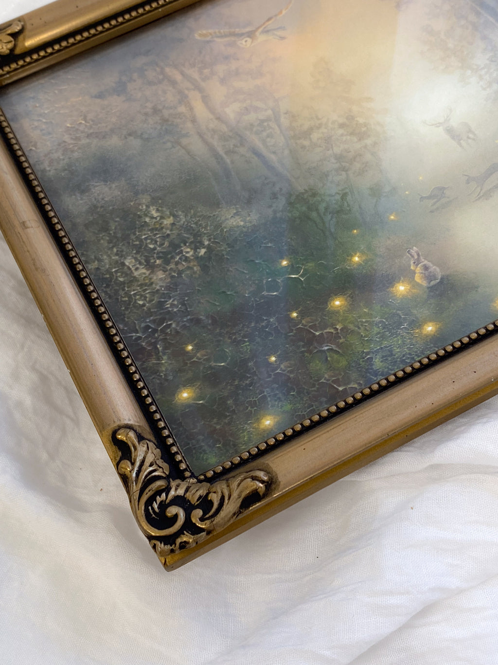 Guided by Fireflies FRAMED PRINT