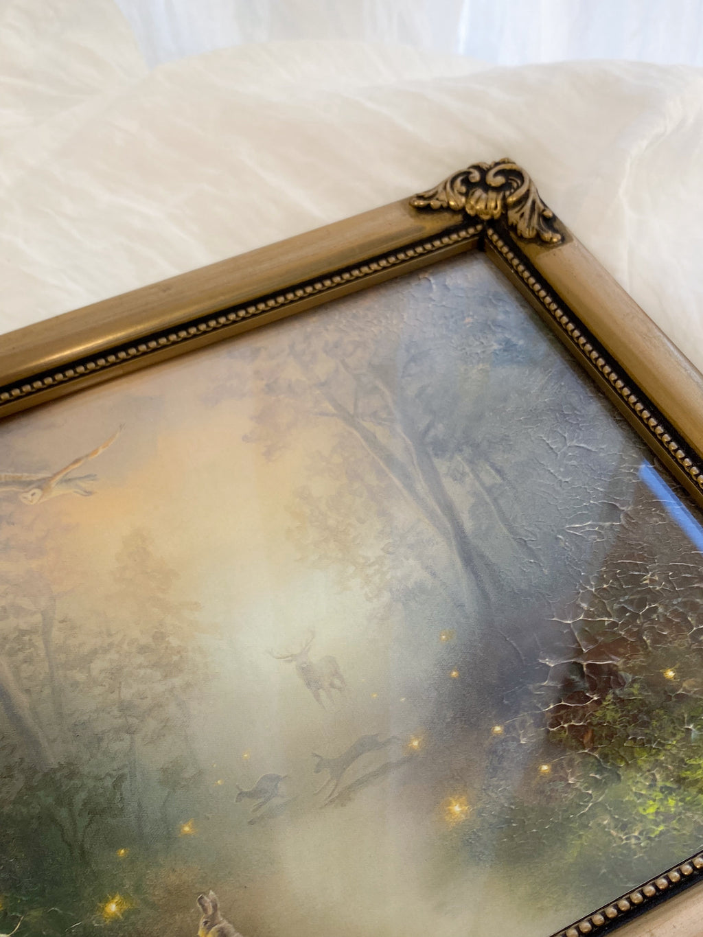 Guided by Fireflies FRAMED PRINT