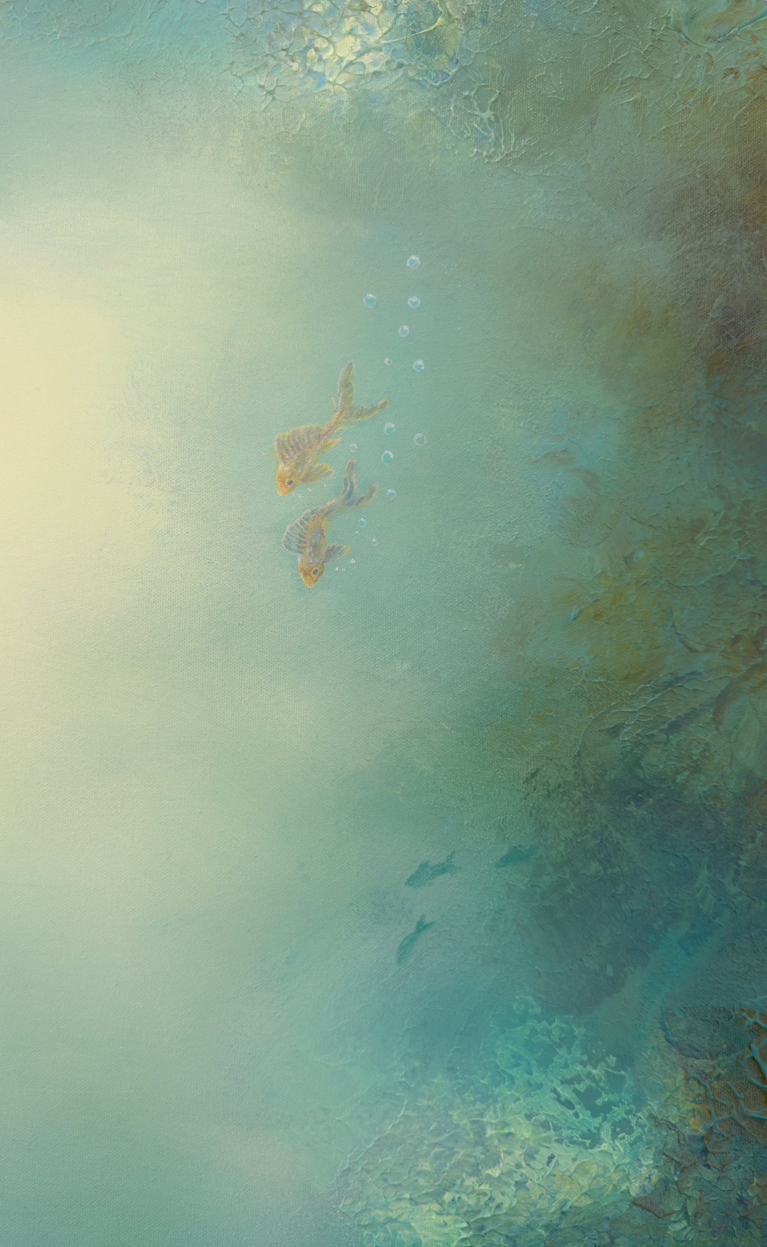 Close-up of tropical fish swimming through the underwater scene.