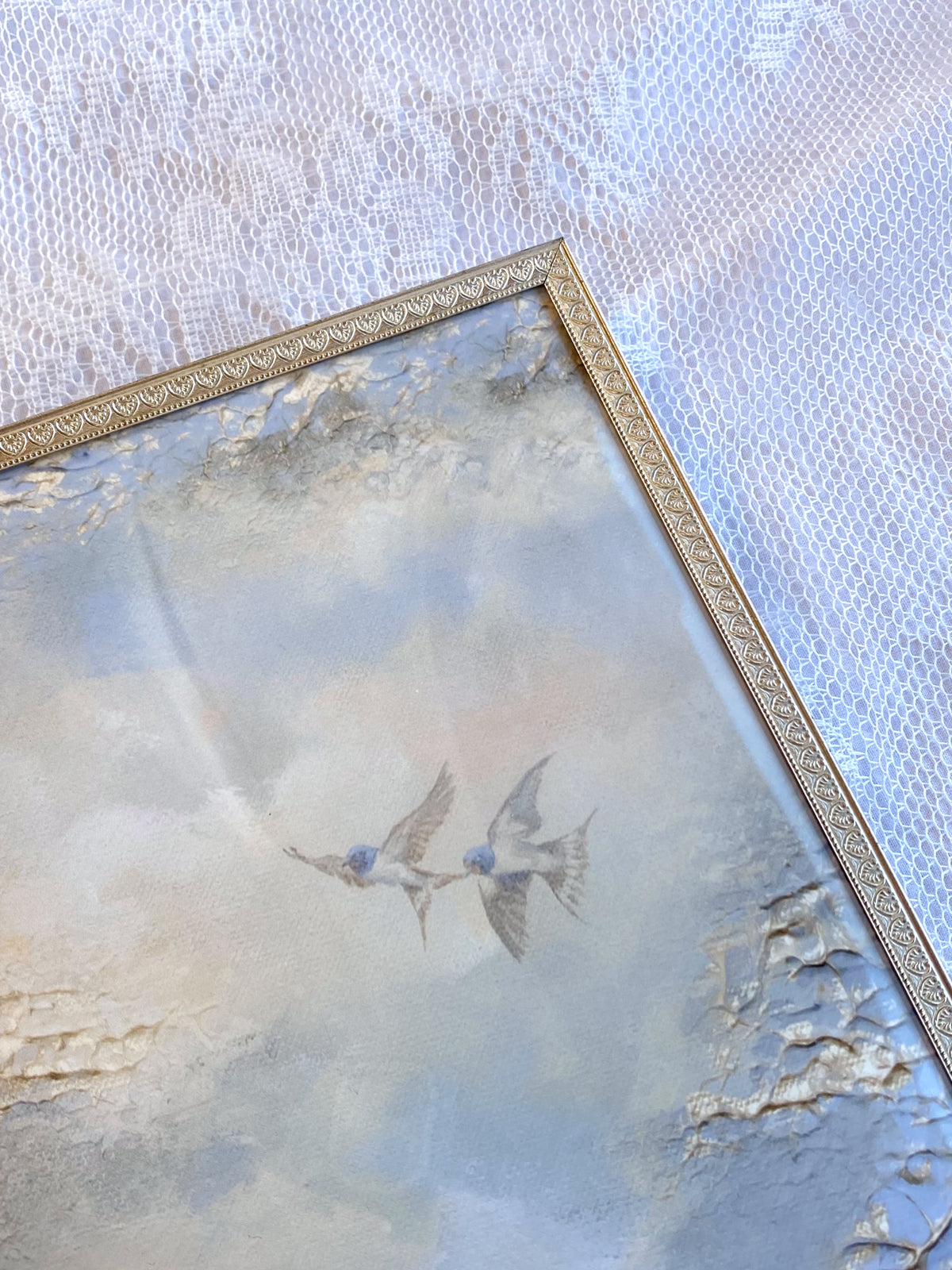 Shared Skies FRAMED PRINT